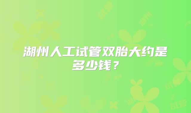 湖州人工试管双胎大约是多少钱?