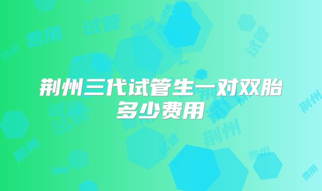 荆州三代试管生一对双胎多少费用