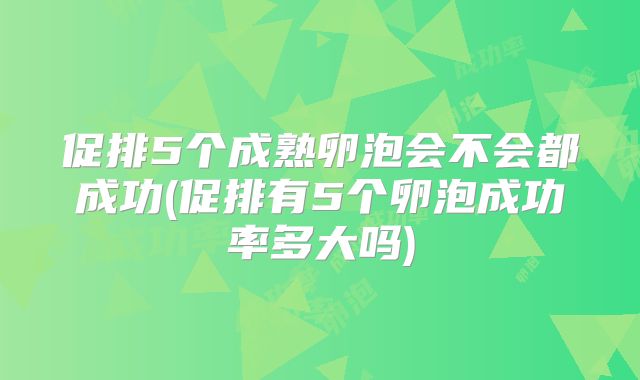 促排5个成熟卵泡会不会都成功(促排有5个卵泡成功率多大吗)
