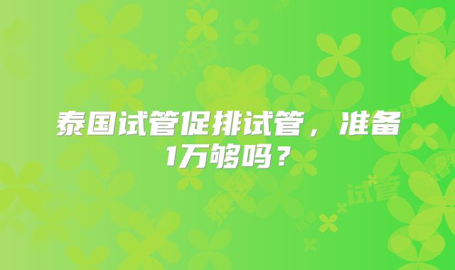 泰国试管促排试管,准备1万够吗?