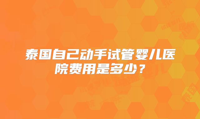 泰国自己动手试管婴儿医院费用是多少？
