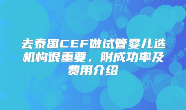 去泰国CEF做试管婴儿选机构很重要,附成功率及费用介绍