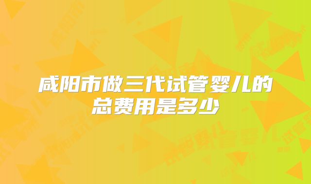 咸阳市做三代试管婴儿的总费用是多少