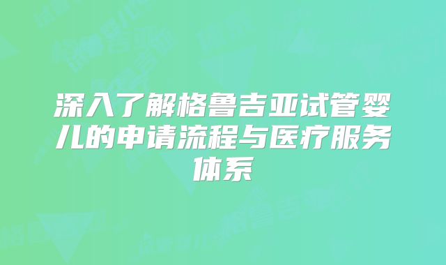 深入了解格鲁吉亚试管婴儿的申请流程与医疗服务体系