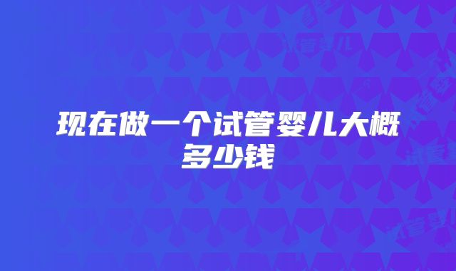 现在做一个试管婴儿大概多少钱