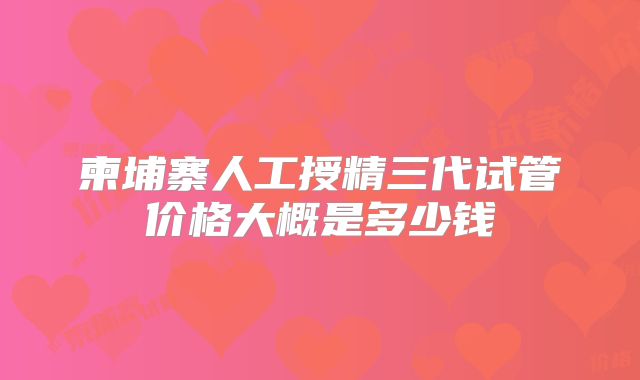柬埔寨人工授精三代试管价格大概是多少钱