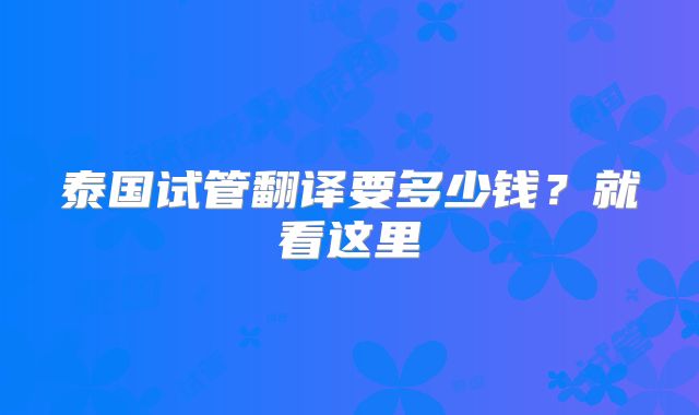 泰国试管翻译要多少钱?就看这里