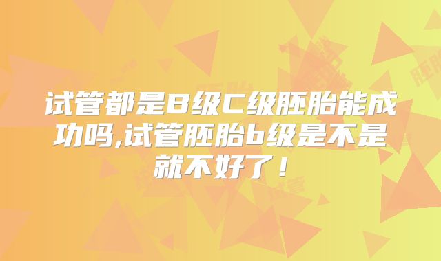 试管都是B级C级胚胎能成功吗,试管胚胎b级是不是就不好了！