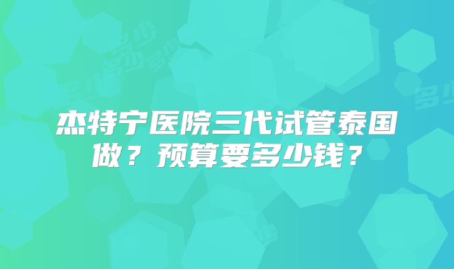 杰特宁医院三代试管泰国做?预算要多少钱?