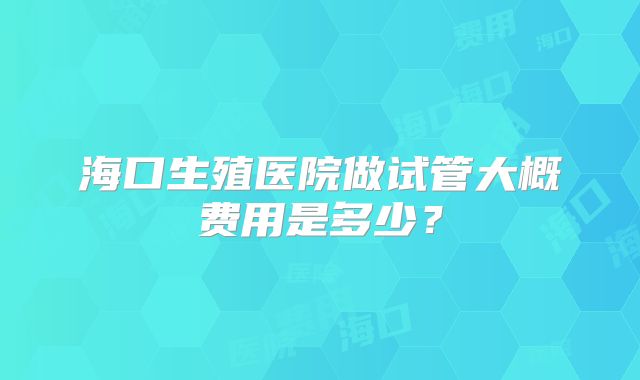 海口生殖医院做试管大概费用是多少？