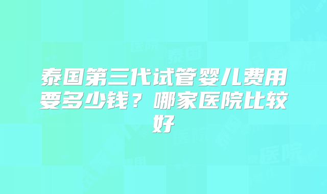 泰国第三代试管婴儿费用要多少钱？哪家医院比较好