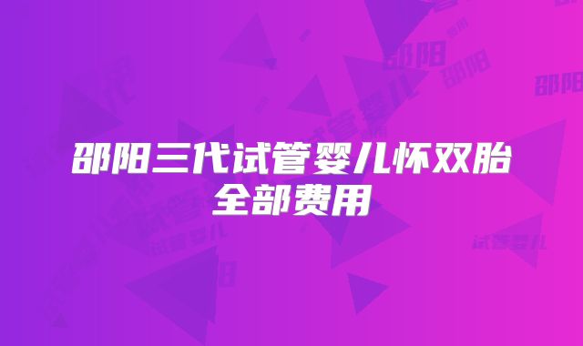 邵阳三代试管婴儿怀双胎全部费用