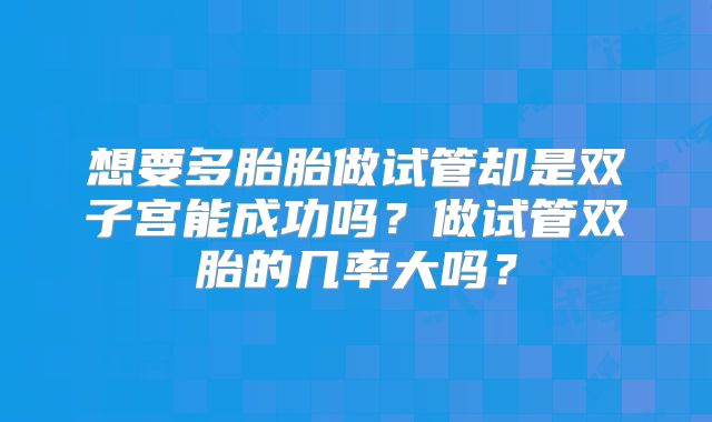 想要多胎胎做试管却是双子宫能成功吗？做试管双胎的几率大吗？