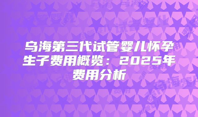 乌海第三代试管婴儿怀孕生子费用概览：2025年费用分析