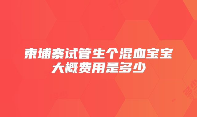 柬埔寨试管生个混血宝宝大概费用是多少