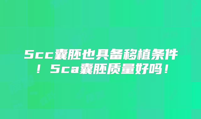 5cc囊胚也具备移植条件！5ca囊胚质量好吗！
