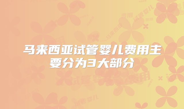 马来西亚试管婴儿费用主要分为3大部分