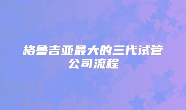 格鲁吉亚最大的三代试管公司流程