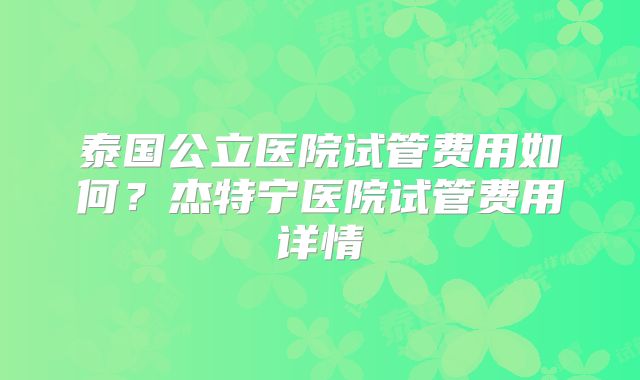 泰国公立医院试管费用如何?杰特宁医院试管费用详情