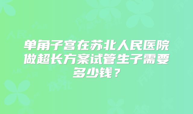 单角子宫在苏北人民医院做超长方案试管生子需要多少钱？