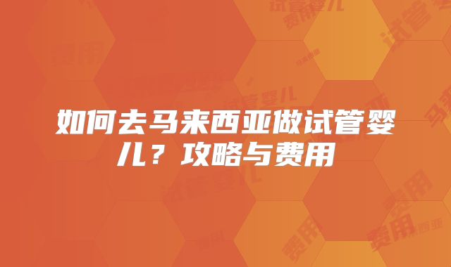 如何去马来西亚做试管婴儿？攻略与费用