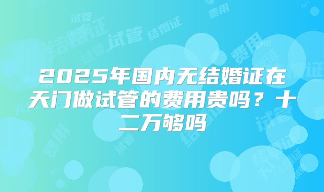 2025年国内无结婚证在天门做试管的费用贵吗？十二万够吗