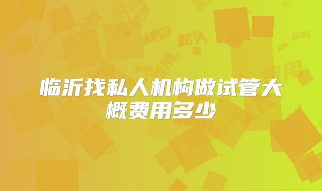 临沂找私人机构做试管大概费用多少