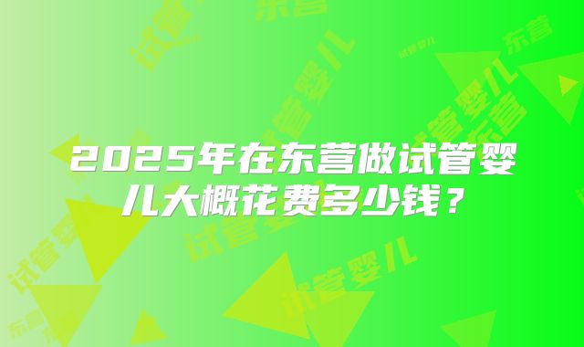 2025年在东营做试管婴儿大概花费多少钱？