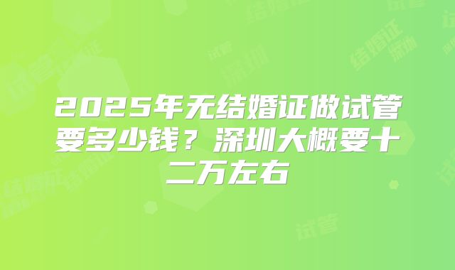2025年无结婚证做试管要多少钱？深圳大概要十二万左右