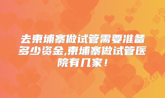 去柬埔寨做试管需要准备多少资金,柬埔寨做试管医院有几家!