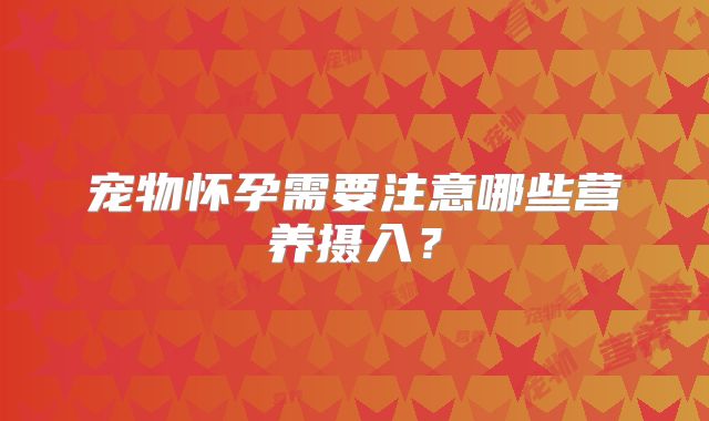 宠物怀孕需要注意哪些营养摄入？