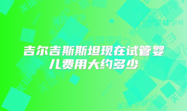 吉尔吉斯斯坦现在试管婴儿费用大约多少