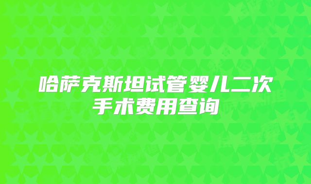哈萨克斯坦试管婴儿二次手术费用查询