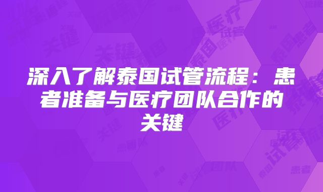 深入了解泰国试管流程：患者准备与医疗团队合作的关键