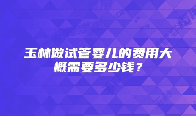 玉林做试管婴儿的费用大概需要多少钱？
