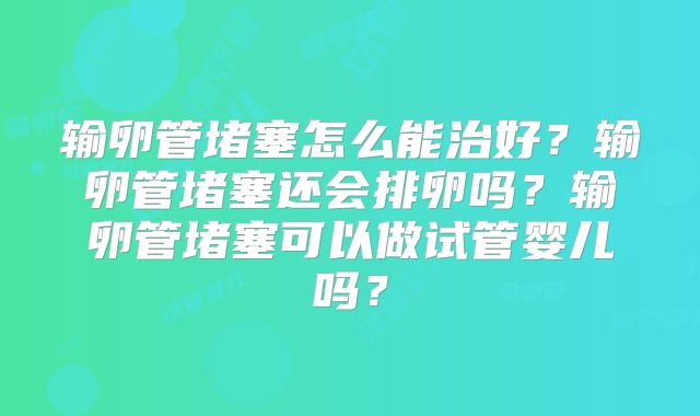 输卵管堵塞怎么能治好？输卵管堵塞还会排卵吗？输卵管堵塞可以做试管婴儿吗？