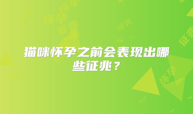 猫咪怀孕之前会表现出哪些征兆?
