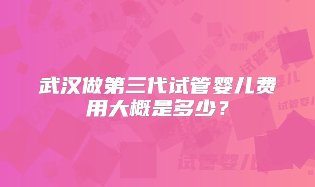 武汉做第三代试管婴儿费用大概是多少？