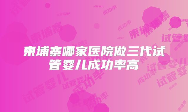 柬埔寨哪家医院做三代试管婴儿成功率高