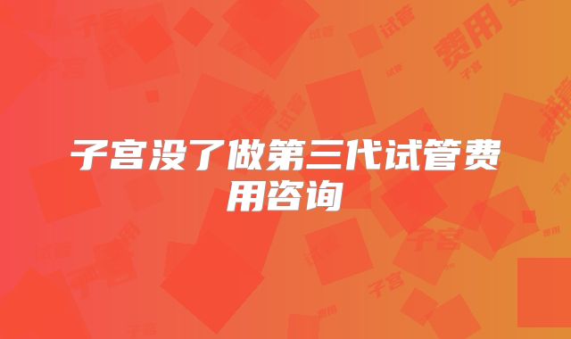 子宫没了做第三代试管费用咨询