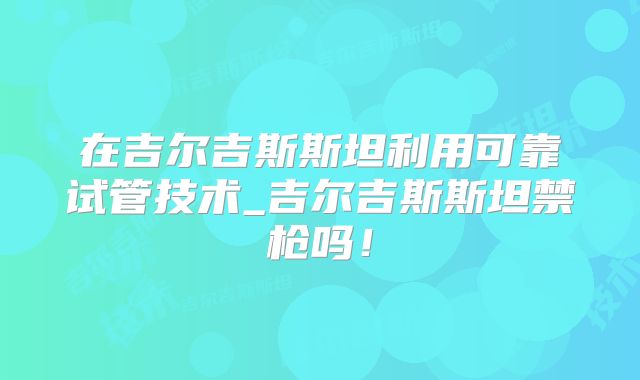 在吉尔吉斯斯坦利用可靠试管技术_吉尔吉斯斯坦禁枪吗！