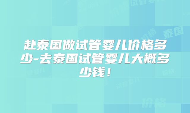 赴泰国做试管婴儿价格多少-去泰国试管婴儿大概多少钱！