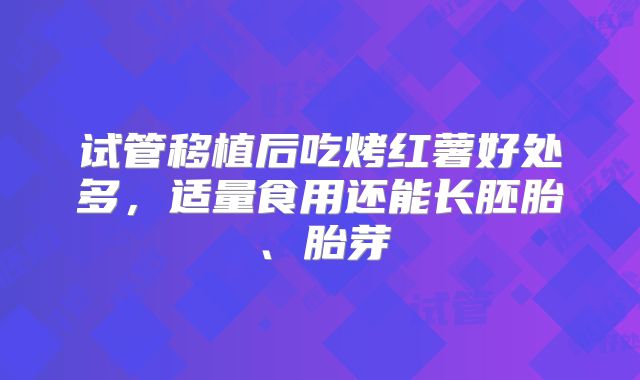 试管移植后吃烤红薯好处多，适量食用还能长胚胎、胎芽