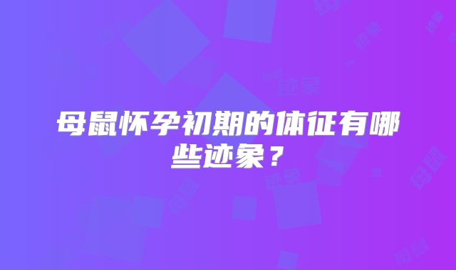 母鼠怀孕初期的体征有哪些迹象？