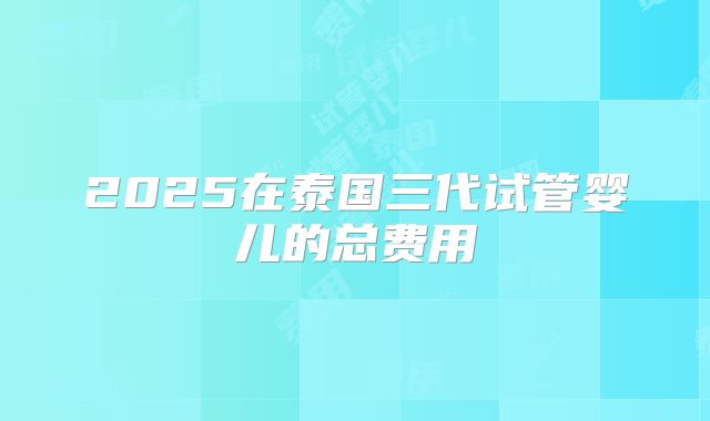 2025在泰国三代试管婴儿的总费用