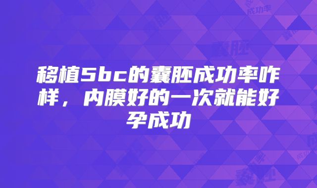移植5bc的囊胚成功率咋样，内膜好的一次就能好孕成功