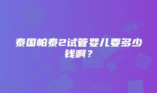 泰国帕泰2试管婴儿要多少钱啊？