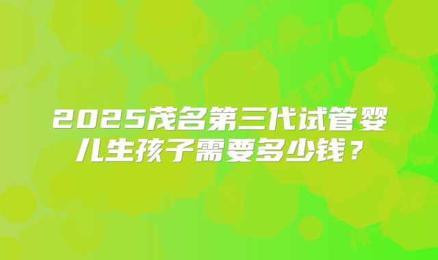 2025茂名第三代试管婴儿生孩子需要多少钱？