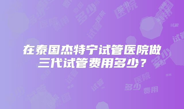 在泰国杰特宁试管医院做三代试管费用多少？