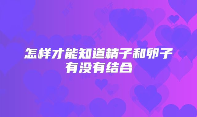 怎样才能知道精子和卵子有没有结合